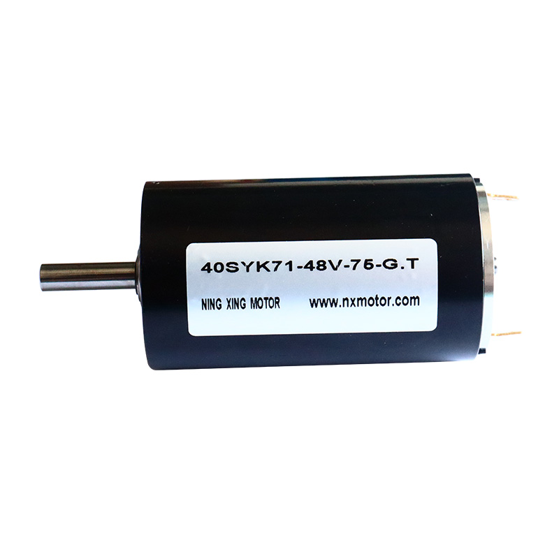 40mm Carbon Brush DC Motor